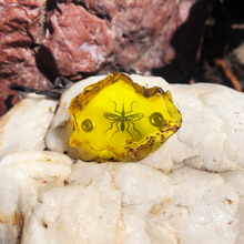 Load image into Gallery viewer, 3D Jurassic Amber Resin Pin