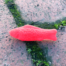 Load image into Gallery viewer, 3D Swedish Fish Resin Pin