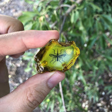 Load image into Gallery viewer, 3D Jurassic Amber Resin Pin