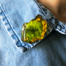 Load image into Gallery viewer, 3D Jurassic Amber Resin Pin