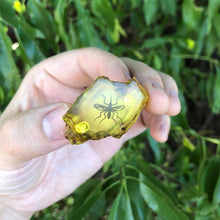 Load image into Gallery viewer, 3D Jurassic Amber Resin Pin