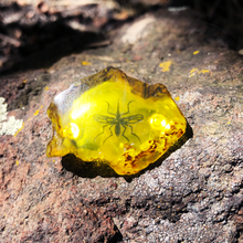 Load image into Gallery viewer, 3D Jurassic Amber Resin Pin