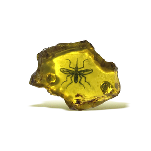 3D Jurassic Amber Resin Pin