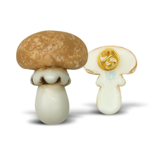 Load image into Gallery viewer, 3D Mushroom Resin Pin