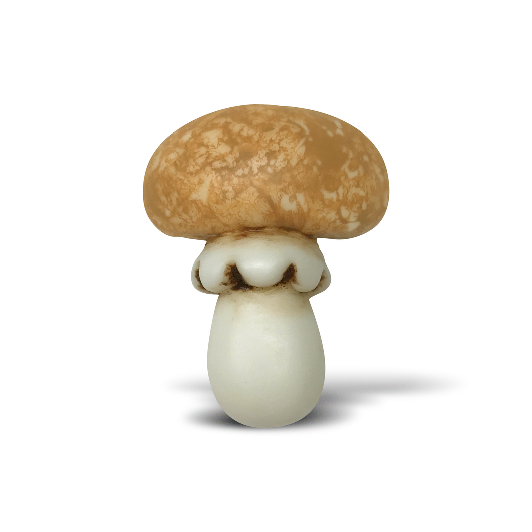 3D Mushroom Resin Pin