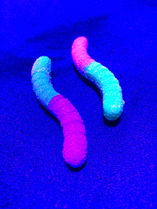 3D LE Sour Gummy Worm Resin Pin